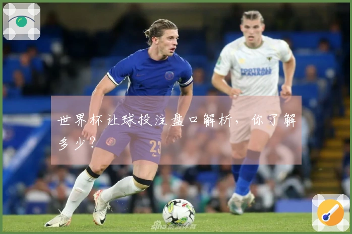 世界杯让球投注盘口解析，你了解多少？