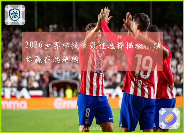 2026世界杯投注最佳选择揭秘,助你赢在起跑线