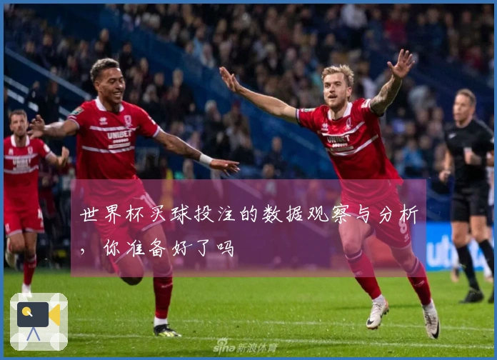 世界杯买球投注的数据观察与分析，你准备好了吗