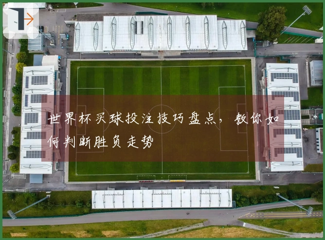 世界杯买球投注技巧盘点，教你如何判断胜负走势