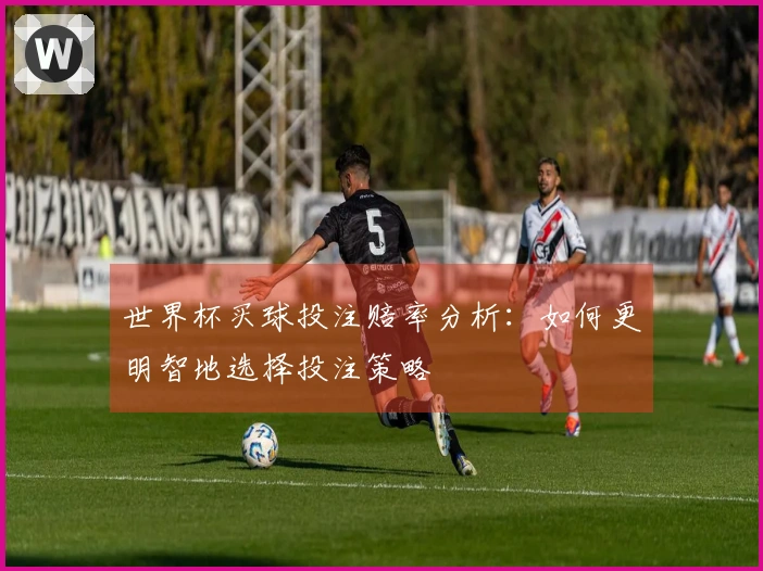世界杯买球投注赔率分析：如何更明智地选择投注策略