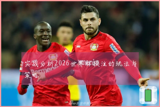 实战分析2026世界杯投注的玩法与策略