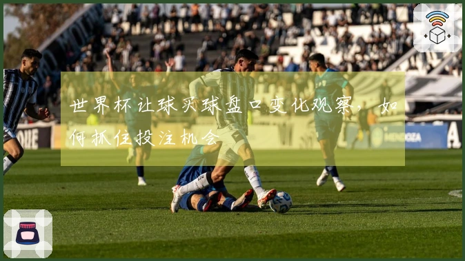 世界杯让球买球盘口变化观察，如何抓住投注机会