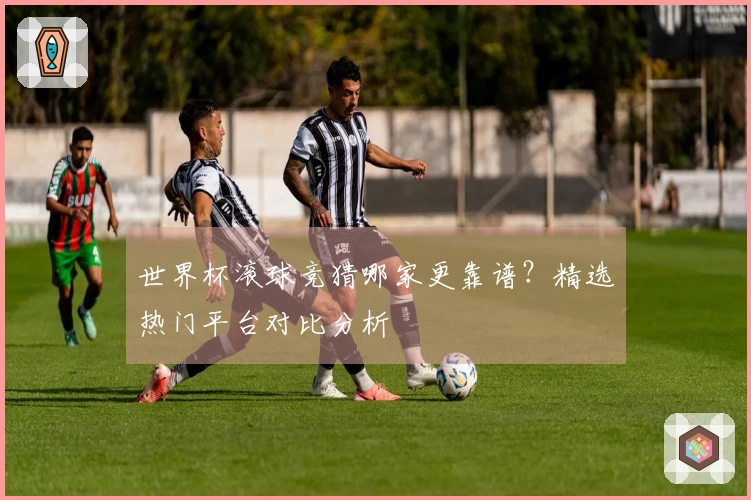 世界杯滚球竞猜哪家更靠谱？精选热门平台对比分析