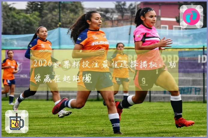 2026世界杯投注最佳选择揭秘，助你赢在起跑线