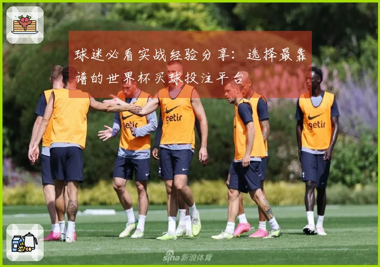 球迷必看实战经验分享：选择最靠谱的世界杯买球投注平台