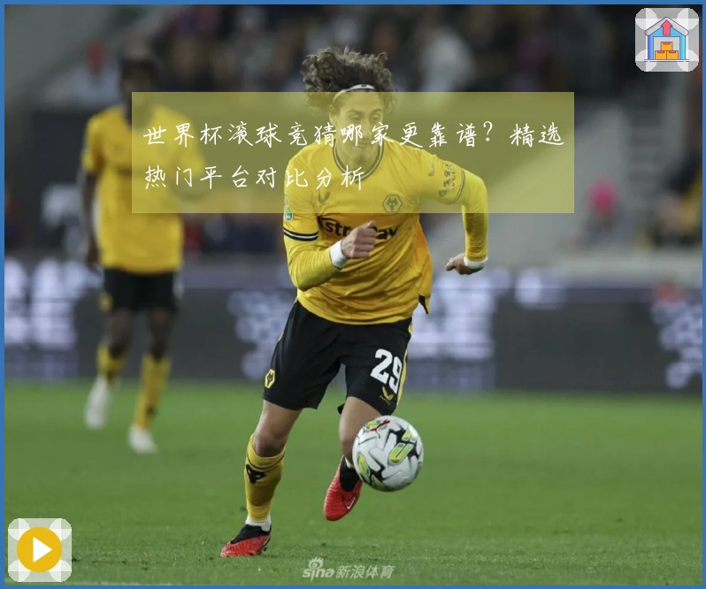世界杯滚球竞猜哪家更靠谱？精选热门平台对比分析
