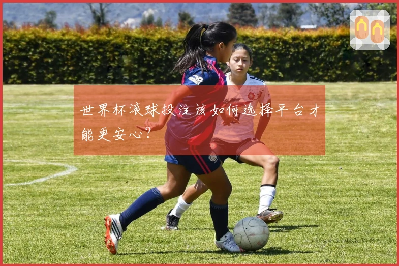 世界杯滚球投注该如何选择平台才能更安心?