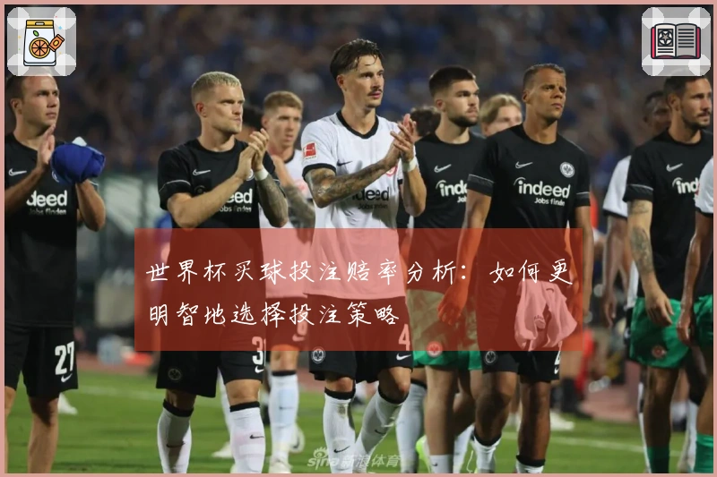 世界杯买球投注赔率分析：如何更明智地选择投注策略