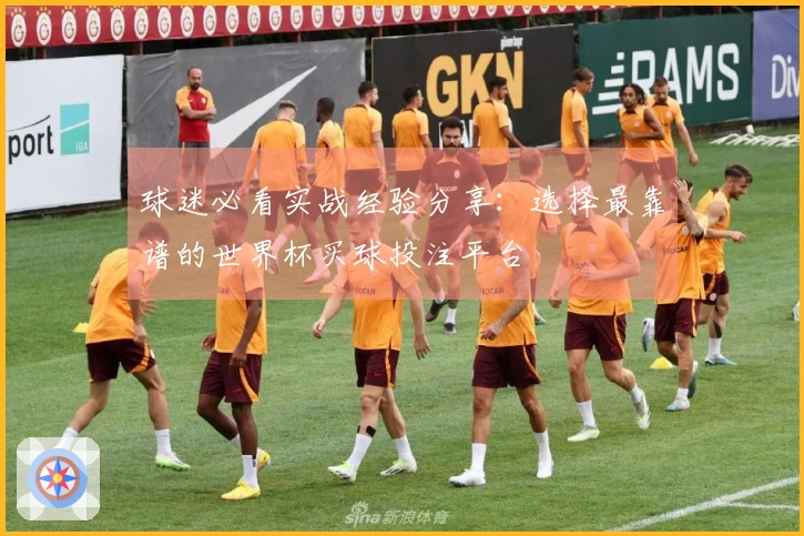 球迷必看实战经验分享：选择最靠谱的世界杯买球投注平台