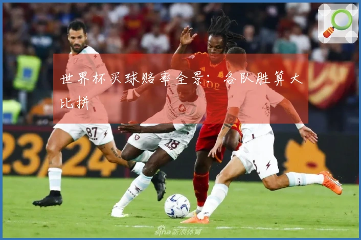世界杯买球赔率全景：各队胜算大比拼