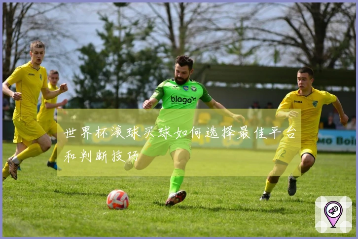 世界杯滚球买球如何选择最佳平台和判断技巧