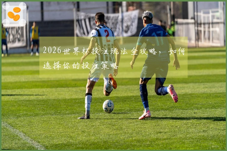 2026世界杯投注玩法全攻略，如何选择你的投注策略