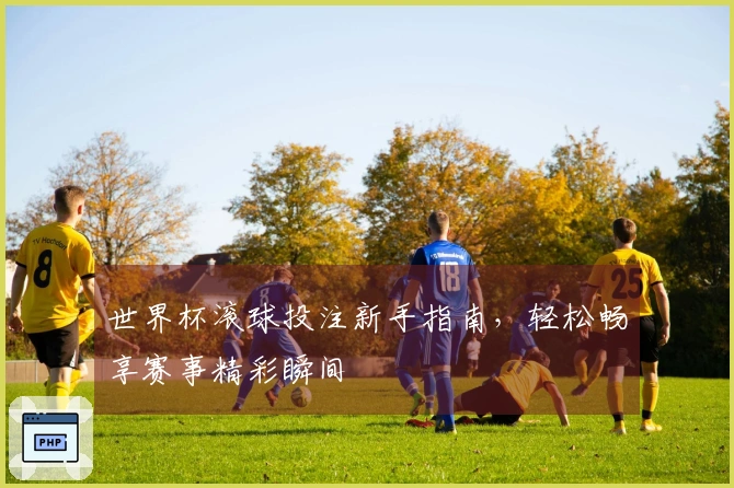 世界杯滚球投注新手指南，轻松畅享赛事精彩瞬间