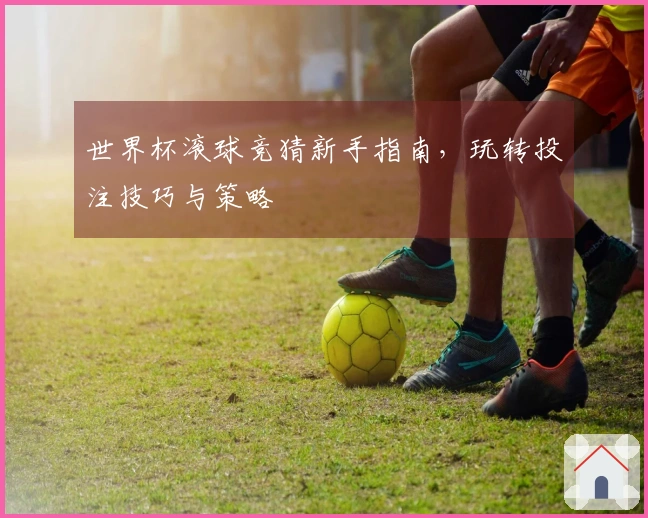 世界杯滚球竞猜新手指南，玩转投注技巧与策略