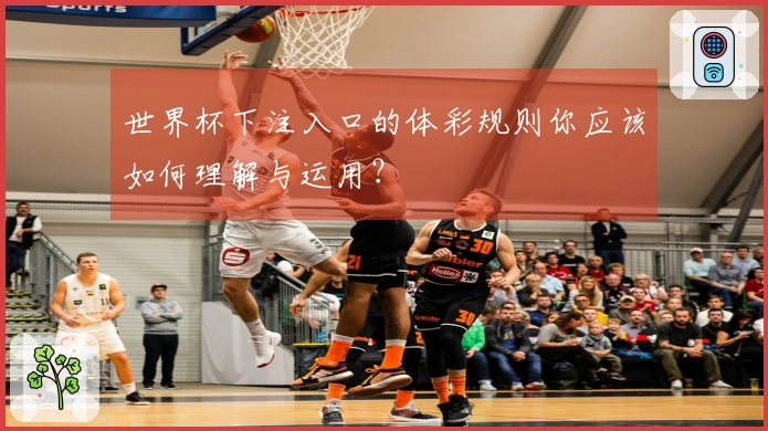世界杯下注入口的体彩规则你应该如何理解与运用？