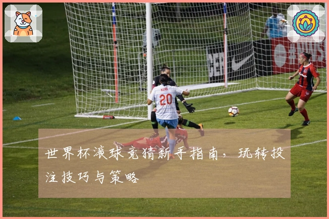 世界杯滚球竞猜新手指南，玩转投注技巧与策略