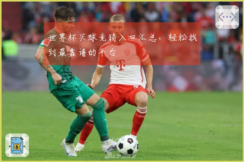 世界杯买球竞猜入口汇总，轻松找到最靠谱的平台