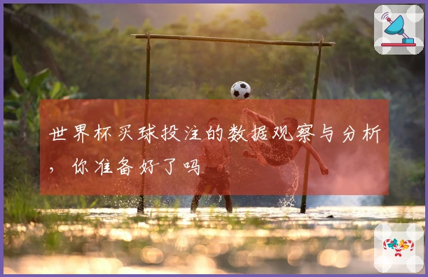 世界杯买球投注的数据观察与分析，你准备好了吗