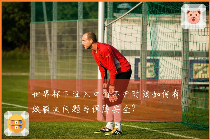 世界杯下注入口打不开时该如何有效解决问题与保障安全？