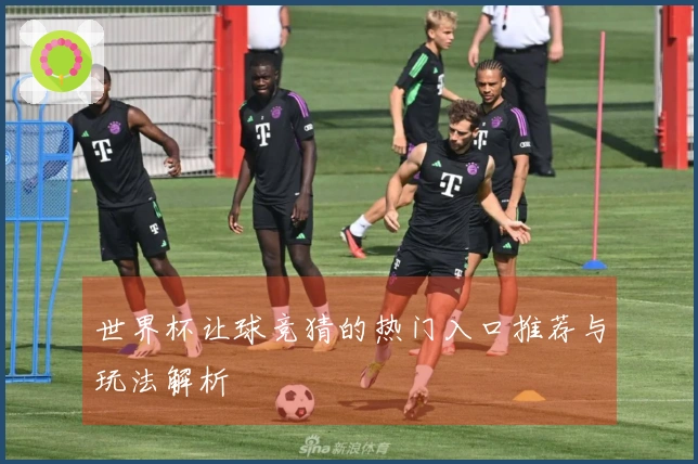 世界杯让球竞猜的热门入口推荐与玩法解析